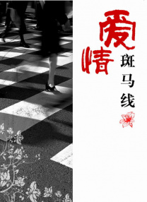 91国内精品久久久久怡红院